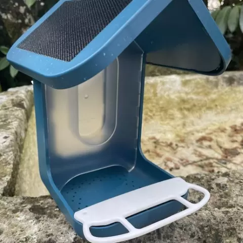 Bird Buddy Perch