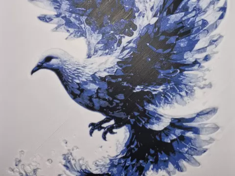 Splash Dove