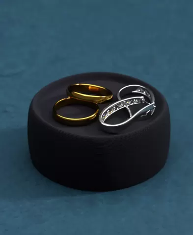 Minimal Ring Plate