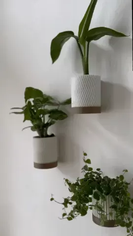 WALL PLANTER SET