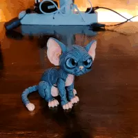Larry the Sphynx