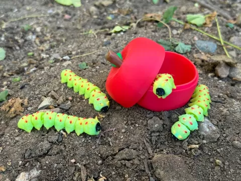 Teal Cat Creative Apple Container