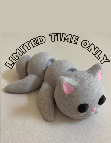 flexi cat