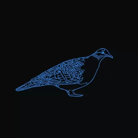 Bronze Wing Dove - Krystal3dp