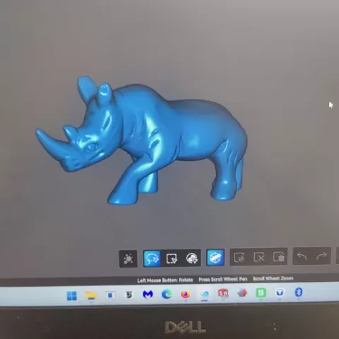 rhino