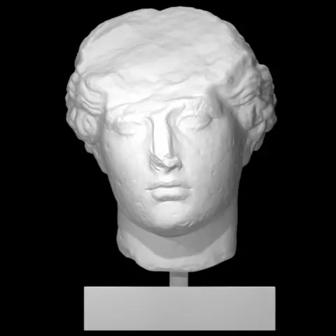 Head of a Goddess by Scan The World