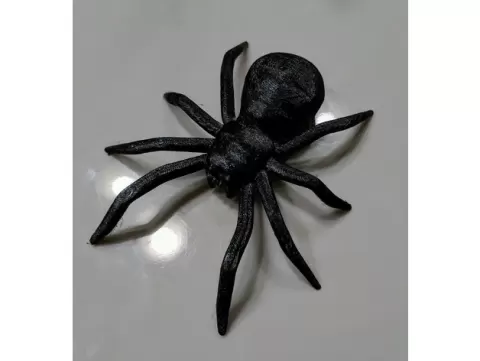 Spider