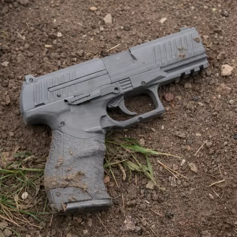 Walther PPQ