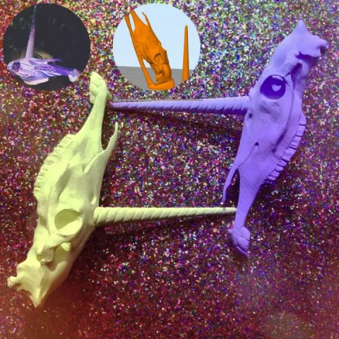 Unicorn Skull by glar