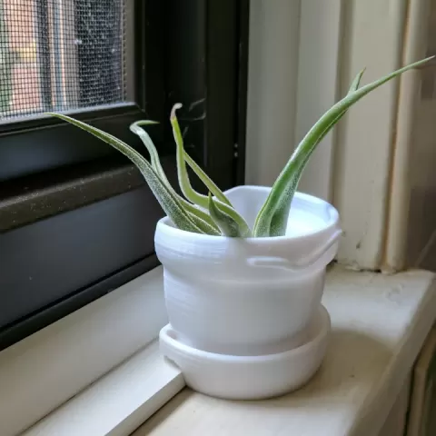 windowsill planter by Rich Williams
