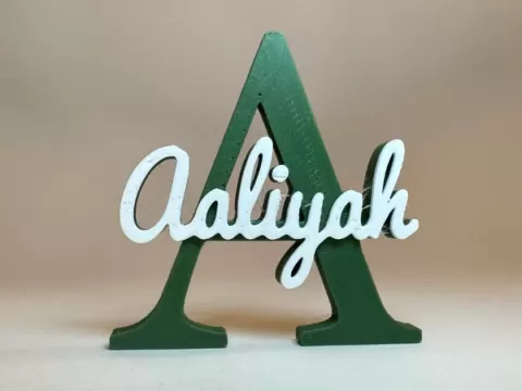 Placa de Identificação 3D - Aaliyah