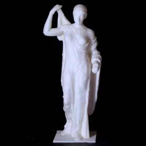 Venus Genetrix by Scan The World