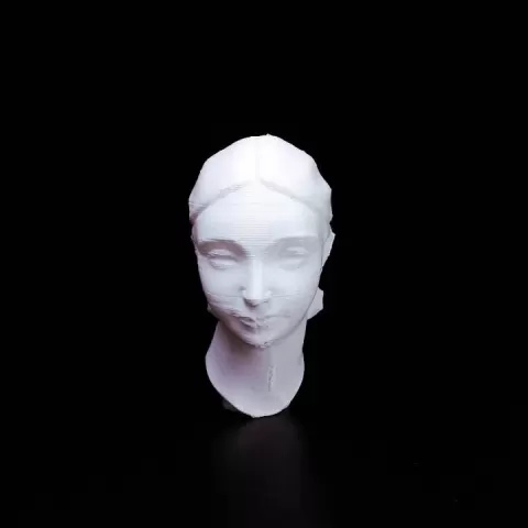 Head of a GIrl (Miss I.D.) by Scan The World