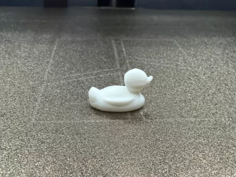 DUCK 10 MIN TEST PRINT