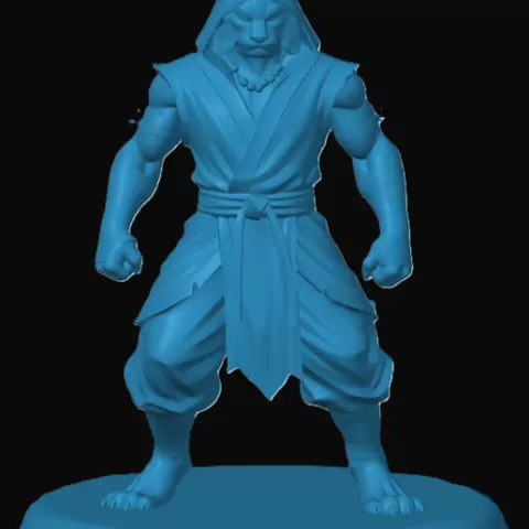 Tabaxi Monk