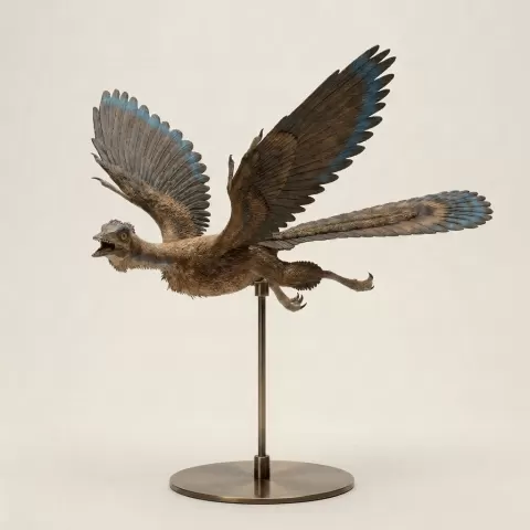 Dinosaur Art - Archaeopteryx
