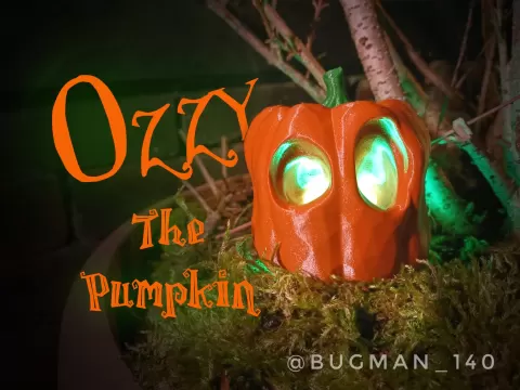 Ozzy the Pumpkin