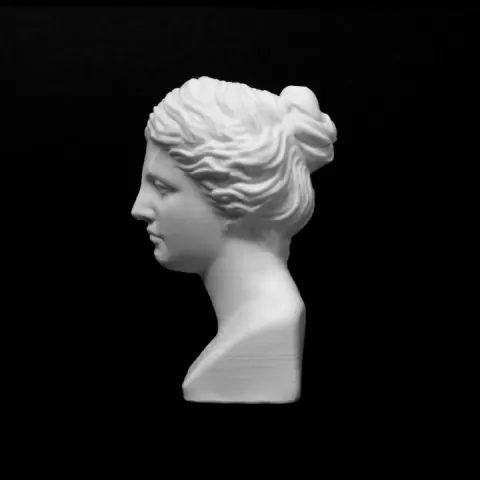 Head of Venus at The Réunion des Musées Nationaux, Paris by RMN