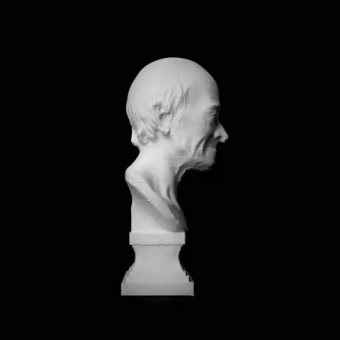 Bust of Voltaire at The Réunion des Musées Nationaux, Paris by RMN