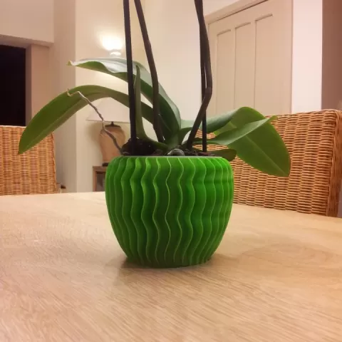 Orchid pot by Didier Klein