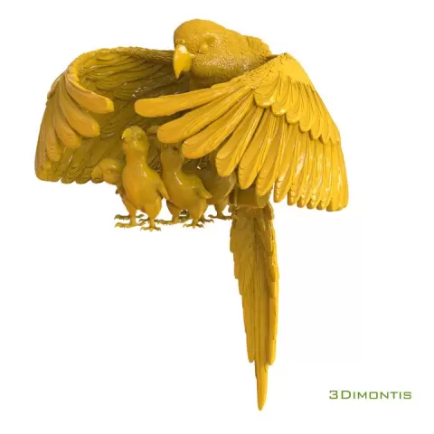 parrot and chicks by Dmitry Tishchenkov