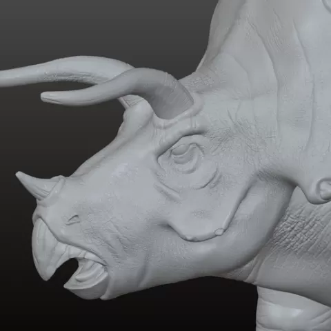 Triceratops