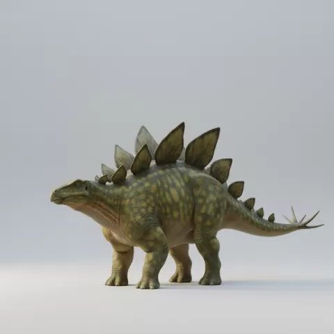 Stegosaurus stenops - Iconic Jurassic Herbivore