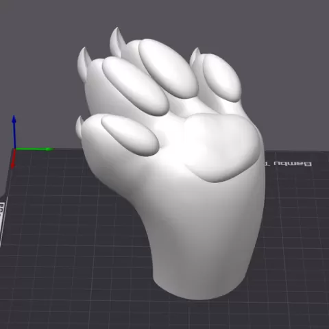 The Paw