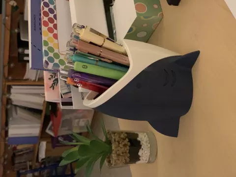 Shark Pencil Holder