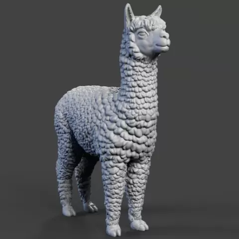 Alpaca 3D print model