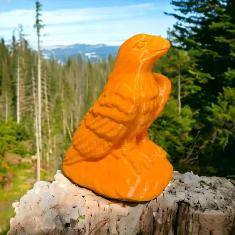 Eagle no support by anthony