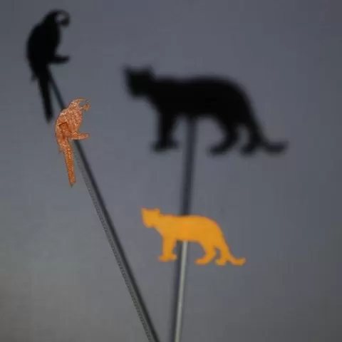 Shadow Theater - wild animals bundle