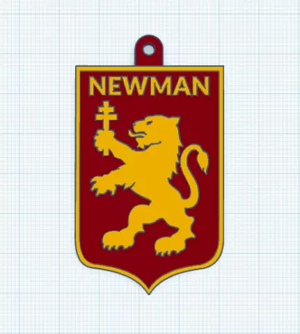 Newman Rugby keychain