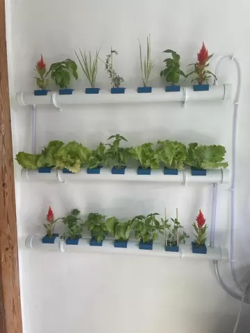 Modular Indoor Hydroponics system