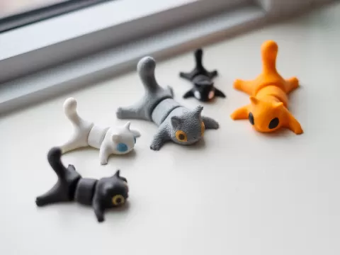 Cat!
