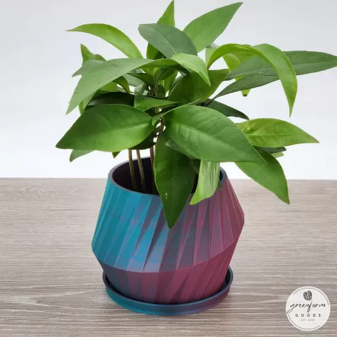 Low-Poly Modern Minimalist Planter
