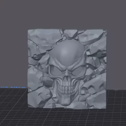 Alien skull plate