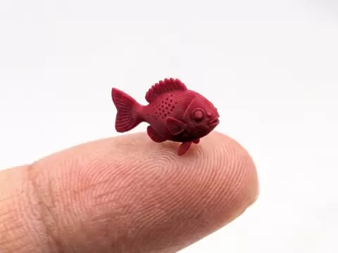 The smallest fish in the world (Nozzle 0.4)