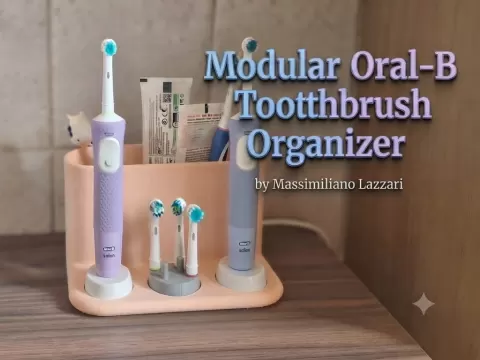 Modular Oral-B Toothbrush Organizer