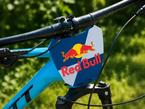 Front Plate for MTB