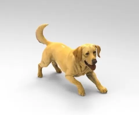 Labrador Retriever Playful Dog 1/32 Scale – Cute Puppy Figure for Dioramas