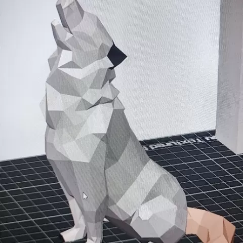 Wolf