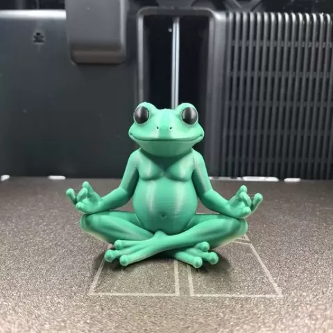 Zen Frog