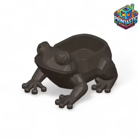 FROGGO STASH – GEOMETRIC FROG STORAGE BOX - Printastic Workshop