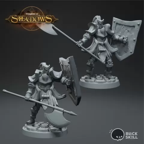 Bedivere - Knight by Black Skull Studio