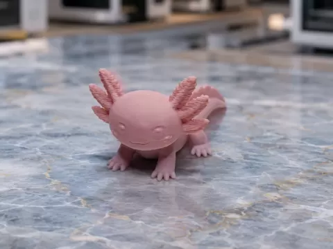 Freundlicher Axolotl mit Federkiemen und Charme
