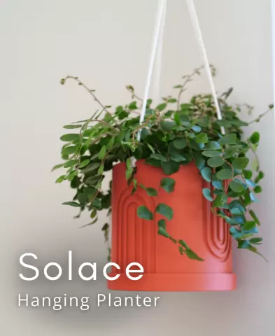 Solace Hanging Planter