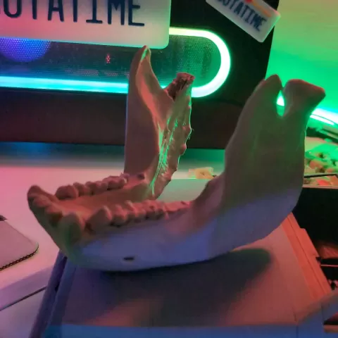 gorilla mandible phone stand