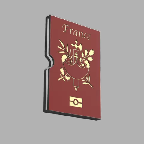 French Passport case