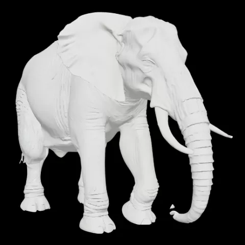 Proud African Elephant Standing